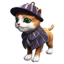 สัตว์เลี้ยง - Kitty