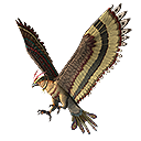 สัตว์เลี้ยง - Falco