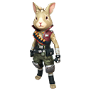 สัตว์เลี้ยง - Agent Hop